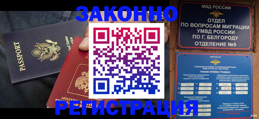 прописка законно в Курганинске